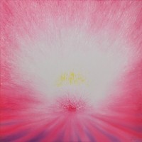 4 chakra - Gianfranco Caldarelli